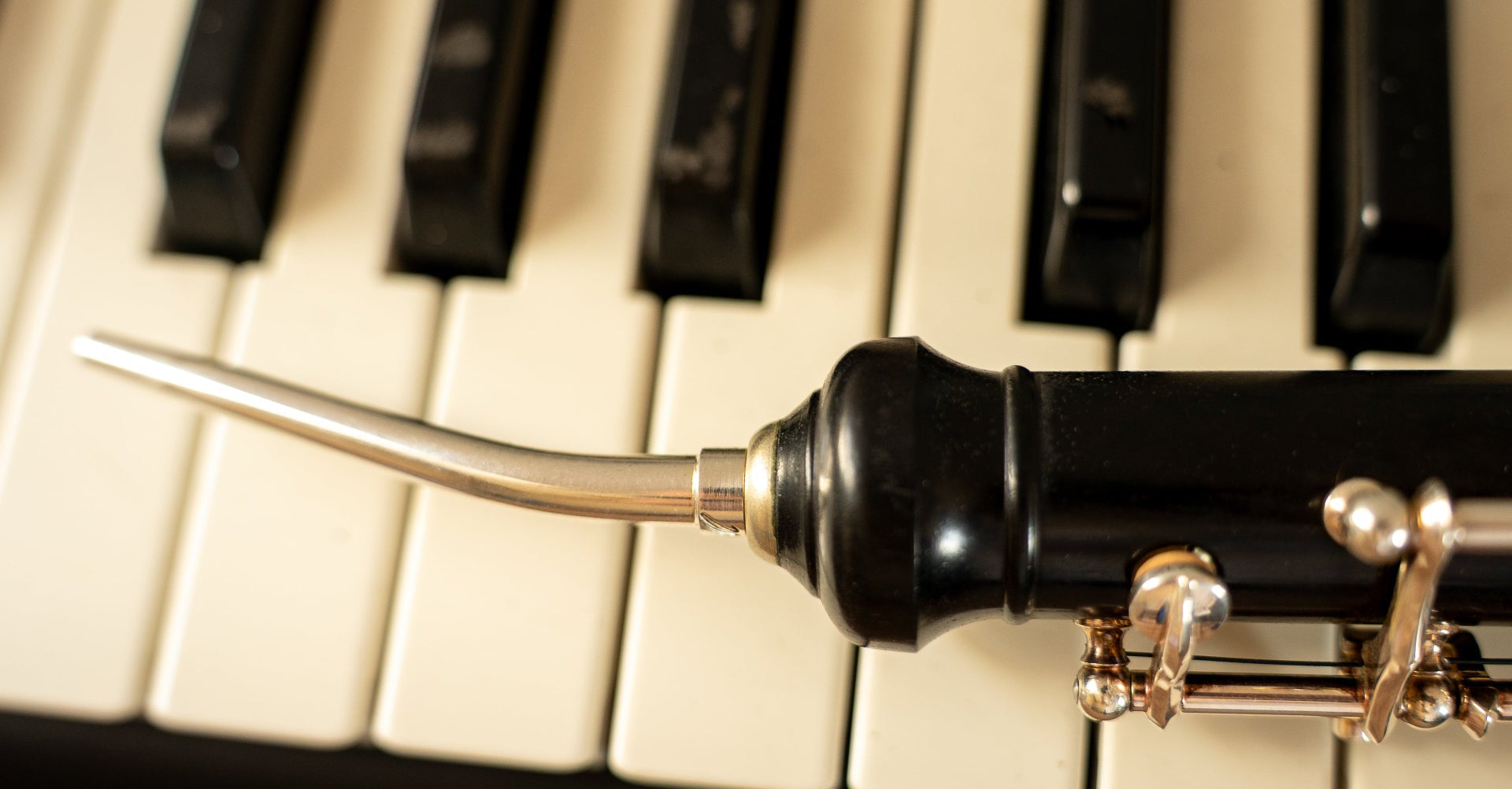 English horn with curved bocal – instrument detai
