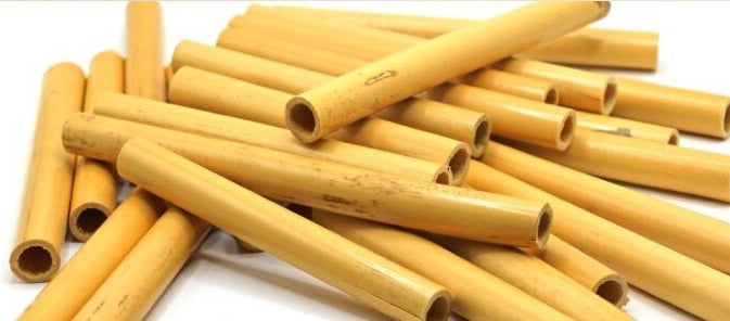 Selected Arundo donax cane for handmade oboe reed making