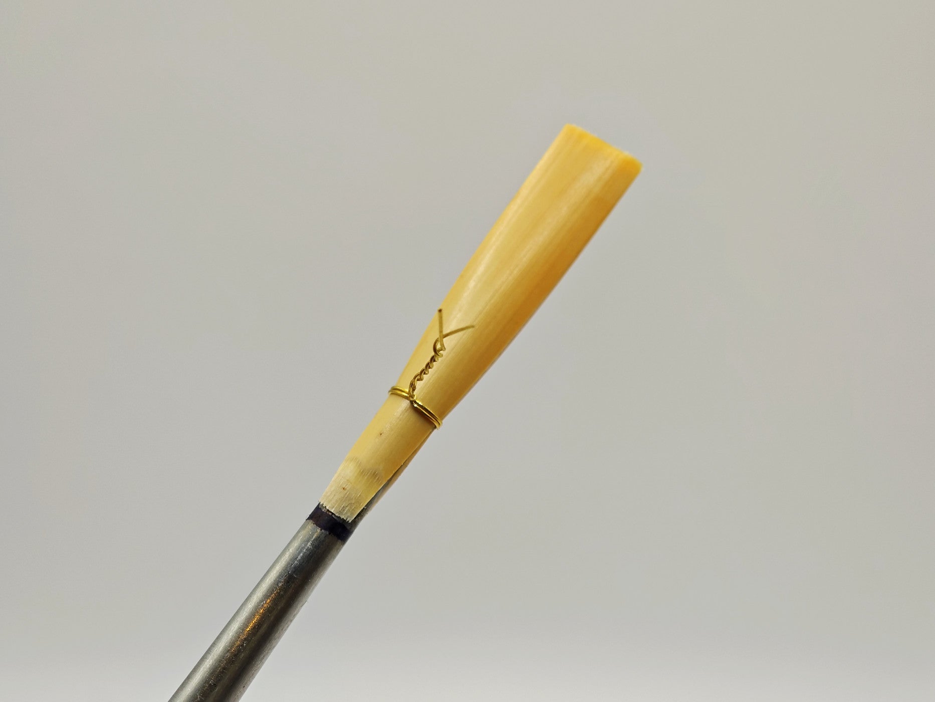 Oboe reed cane tied onto a staple during reed making