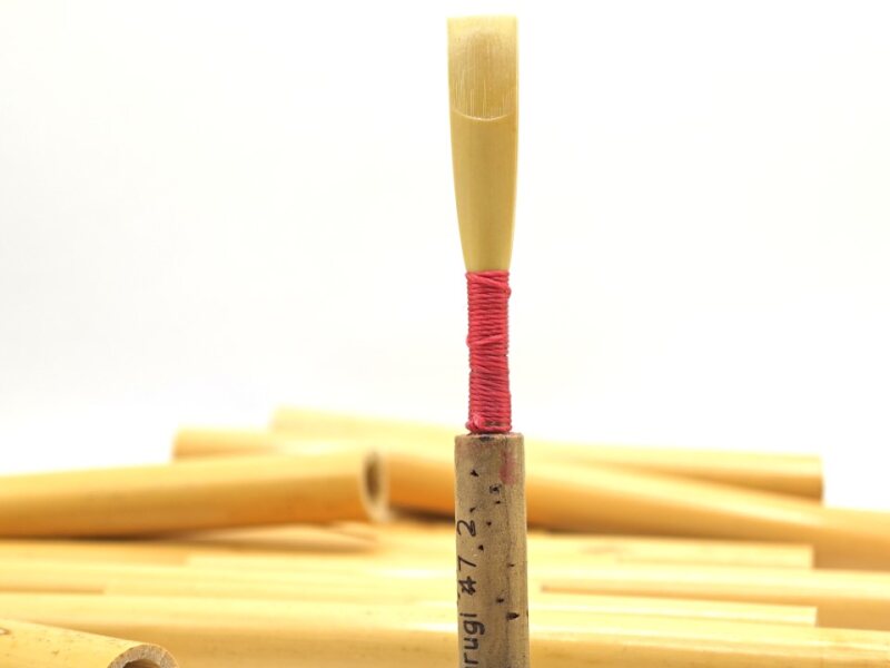 Professionelles Oboenblatt  