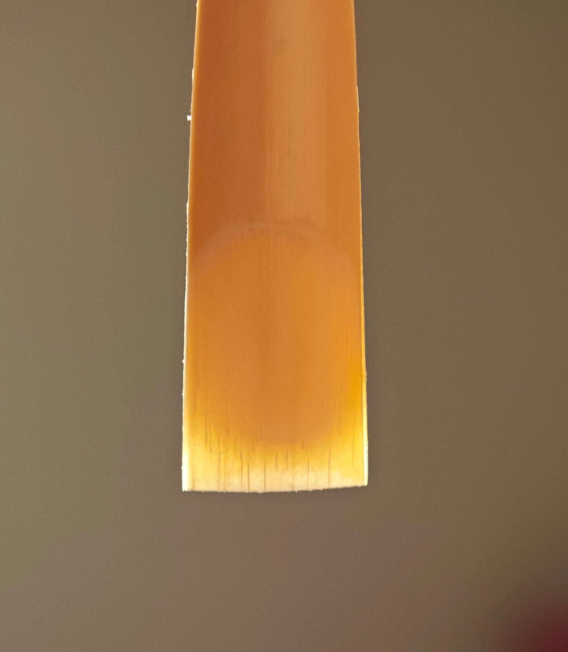 English horn reed tip and scrape – backlit detail