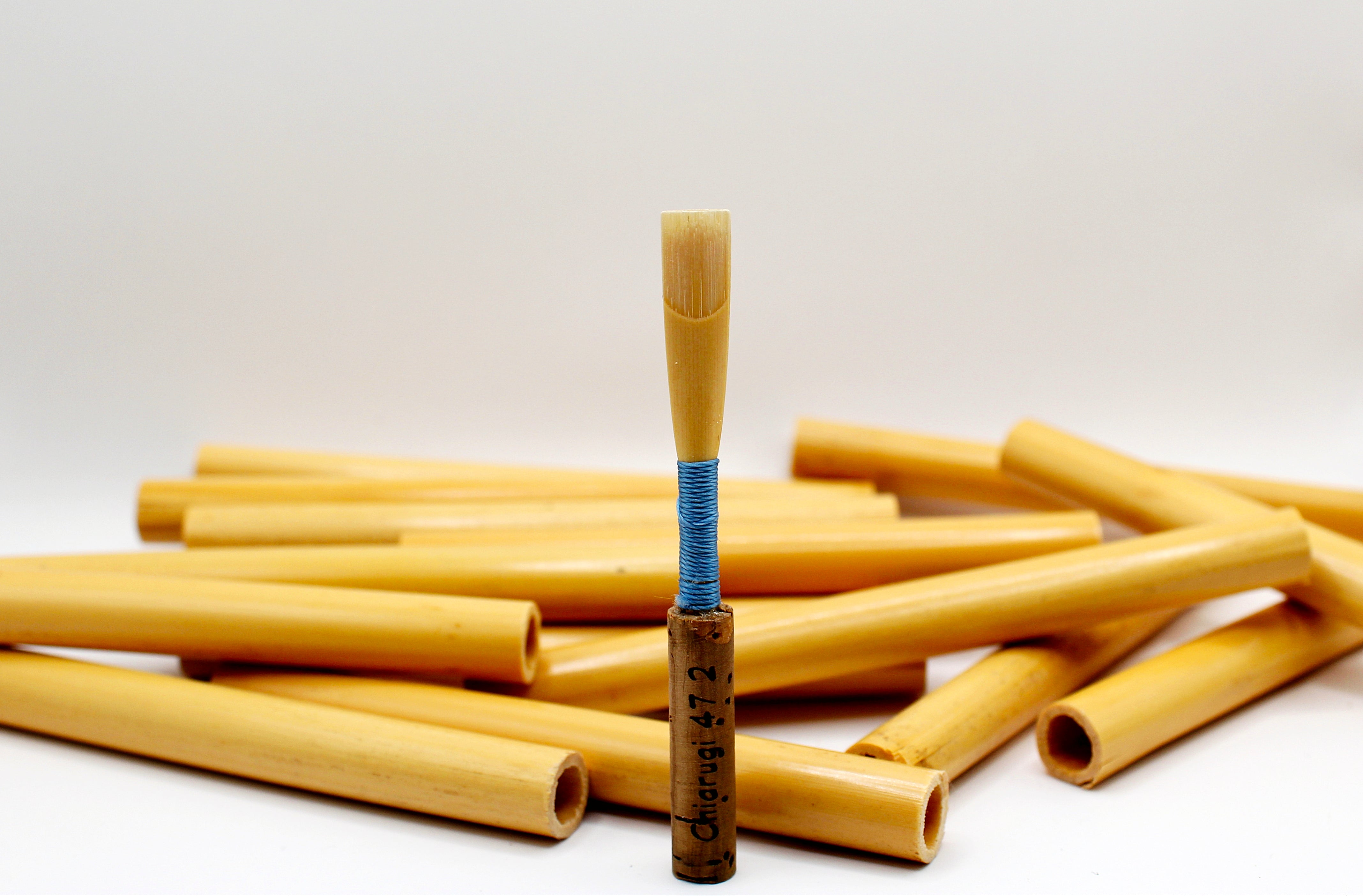 Handmade student oboe reed surrounded by selected oboe cane