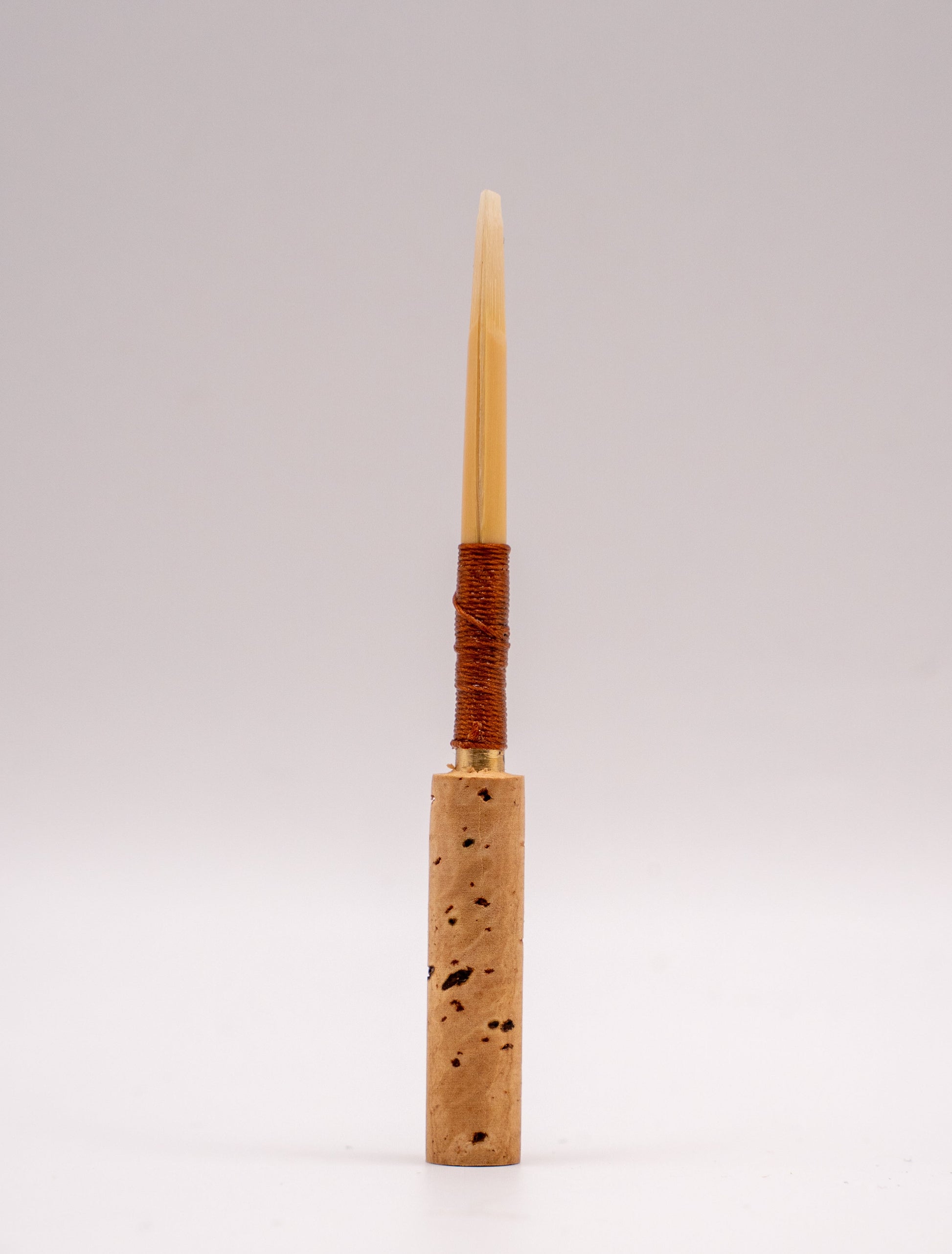 Professional oboe reed – side view and cane profile