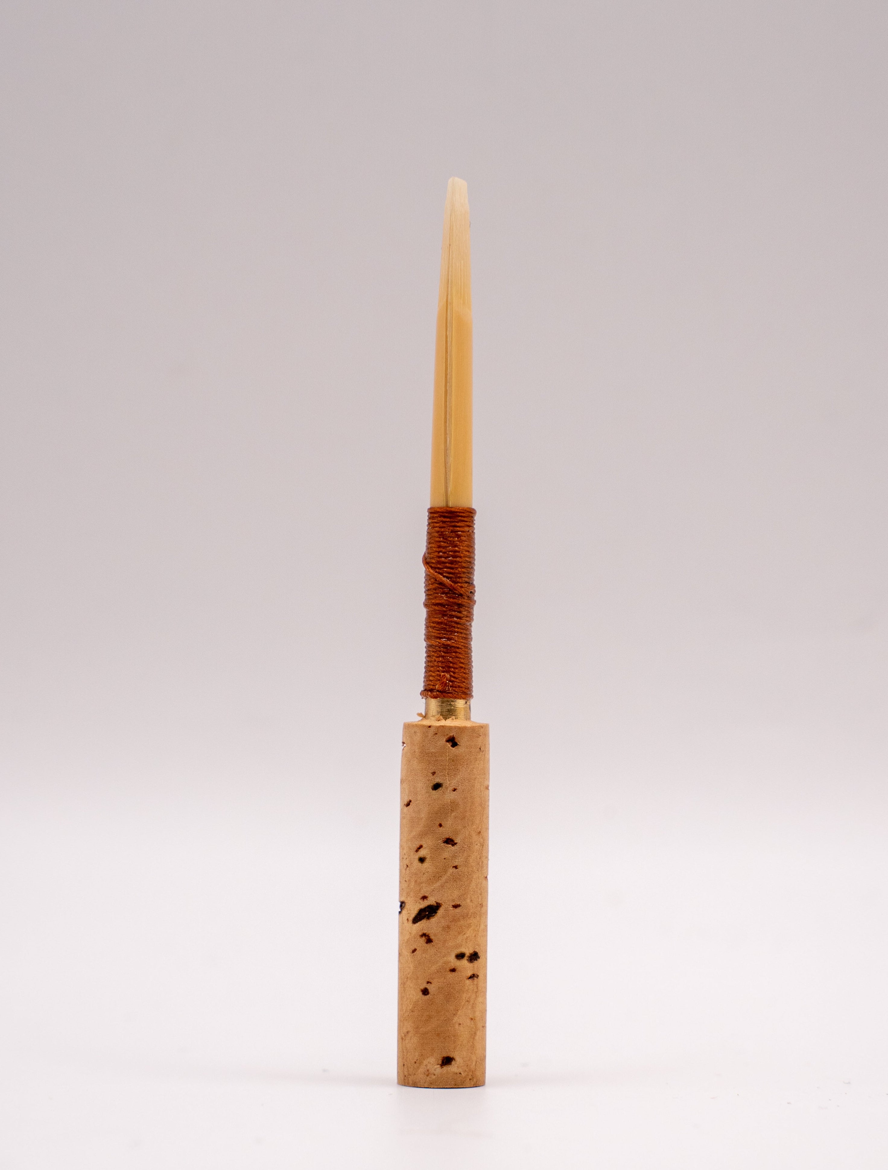 Professional oboe reed – side view and cane profile