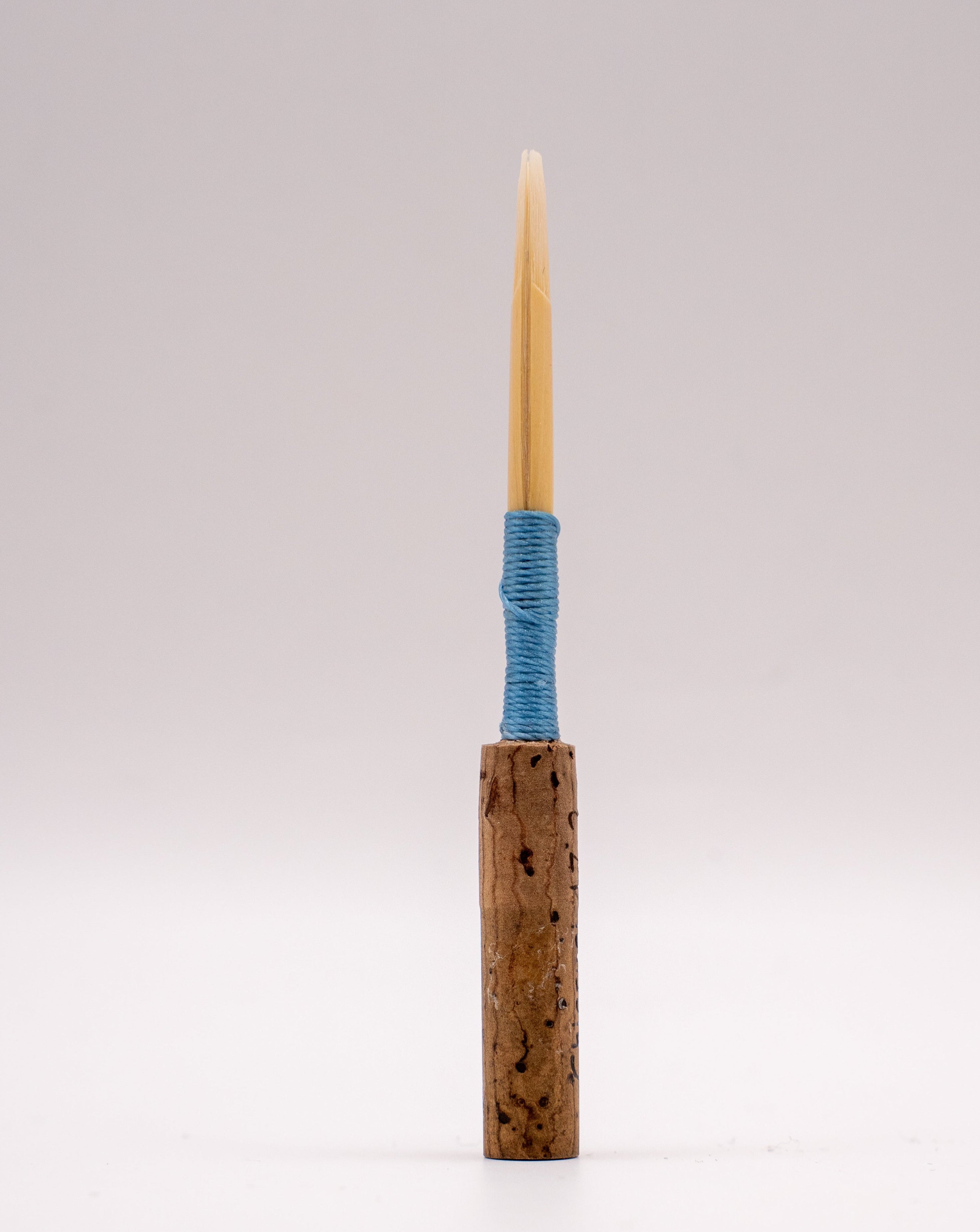Student oboe reed – side view and cane profile